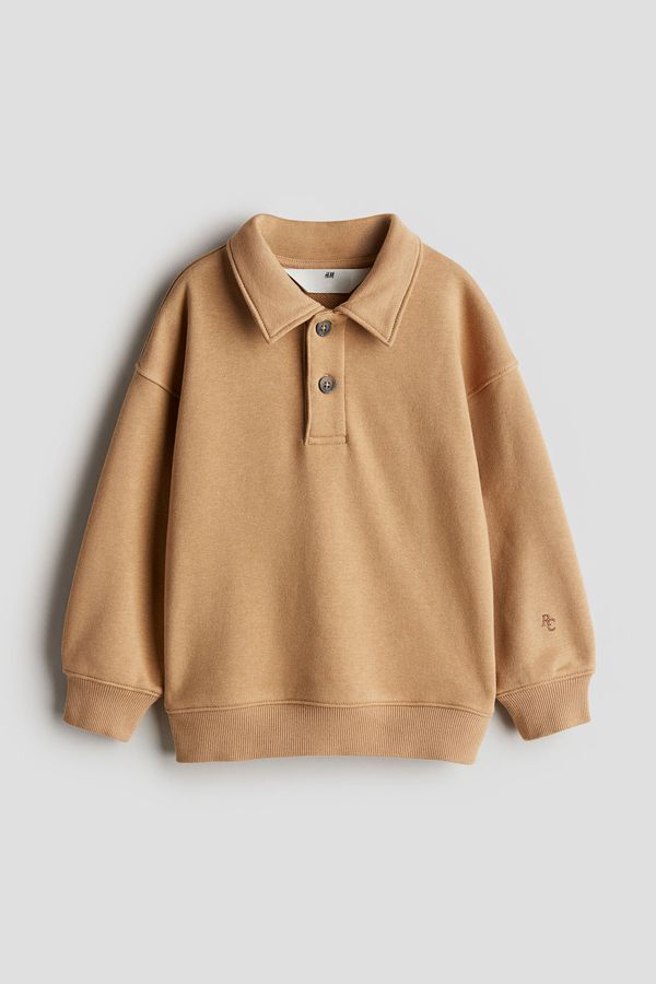 Polo de rugby