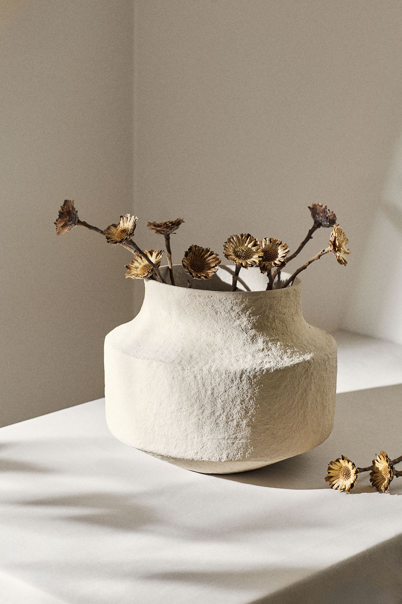 model-main