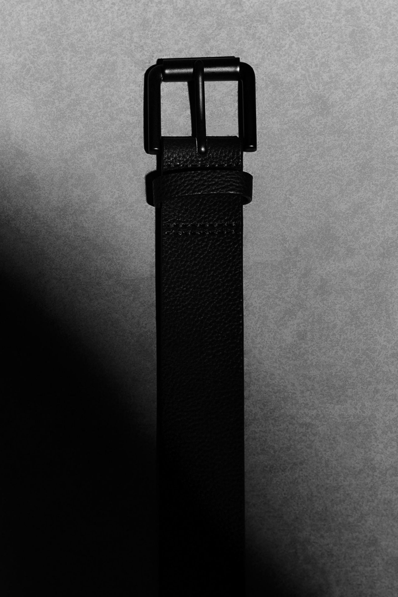 model-main