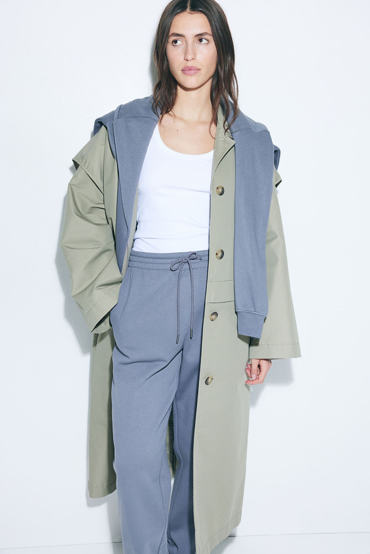 model-main