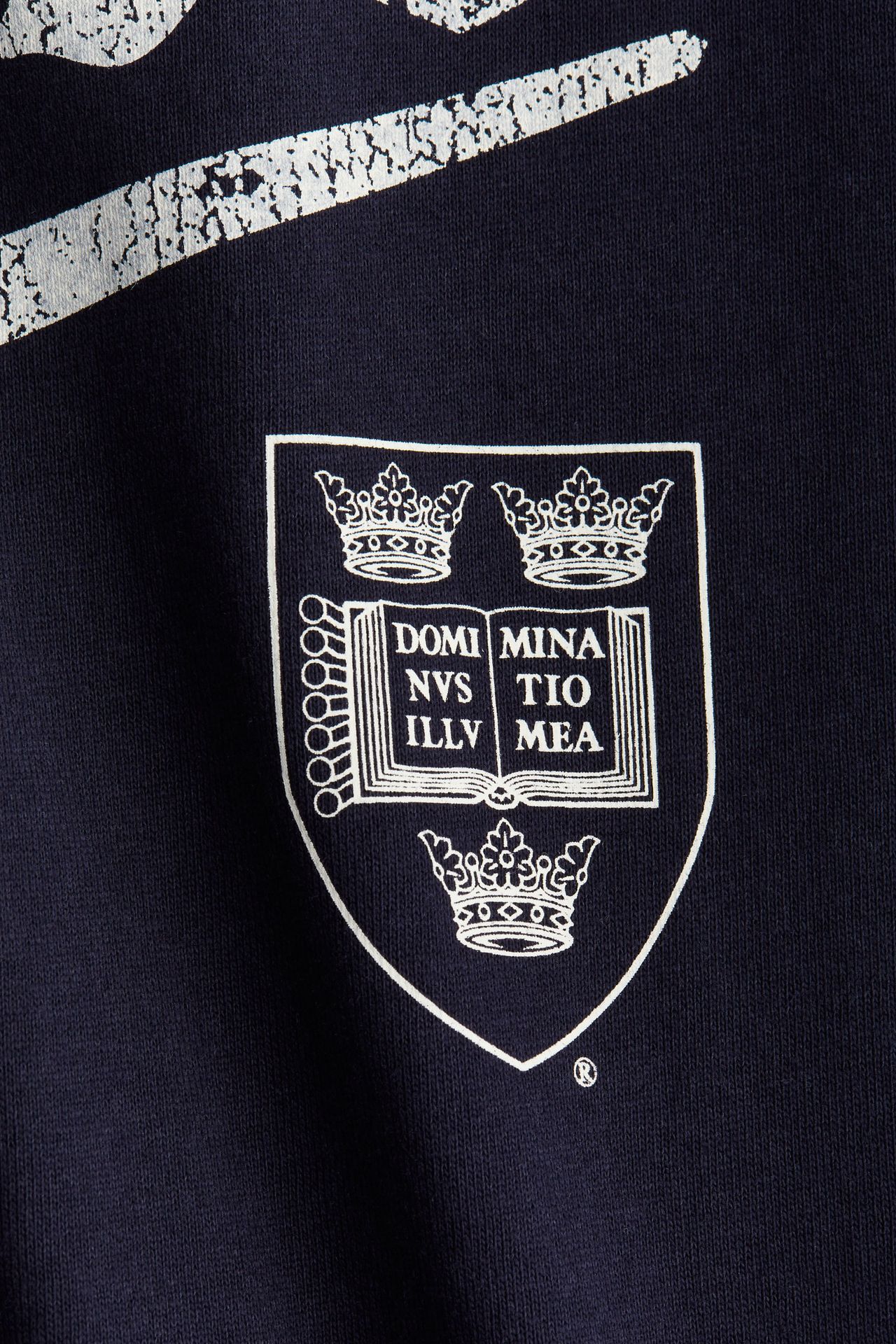 detail